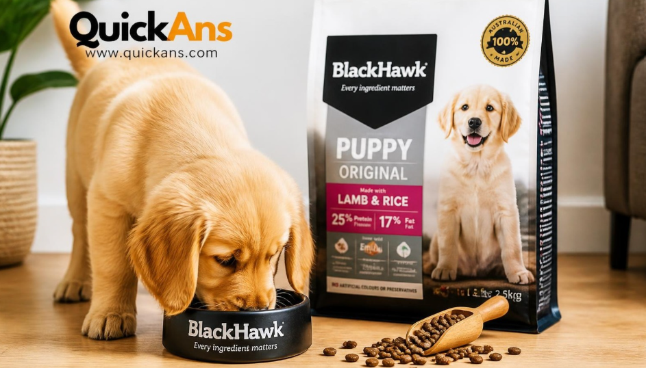 Black Hawk Puppy Food Review: Is It Best for Your Puppy?